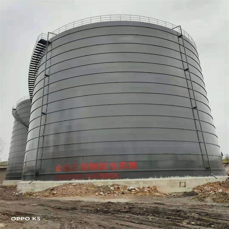 通城3万吨大型钢板库